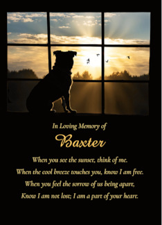 Dog Sympathy Loss of...