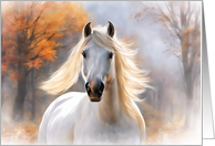 Thinking of You Beautiful White Horse Flowing Mane Fall Colored Trees card