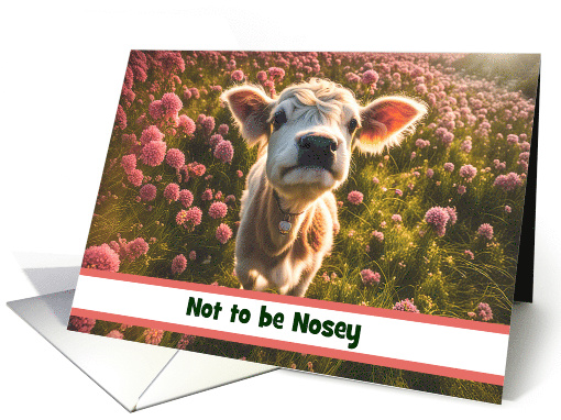 Thinking of You Cute Highlander Calf or Cow Flowers... (1852762)