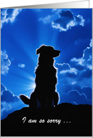 Sympathy Condolences with Dog in the Clouds Silhouetted Custom Text card