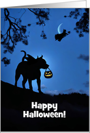 Halloween Cute Dog in Costume with Trick or Treat Bag Witch Custom card