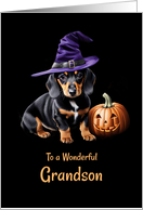 Grandson Cute Dog Witch Hat and Jack O Lantern Happy Halloween card