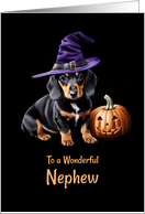Nephew Happy Halloween Charming Dachshund Pup Jack O Lantern card