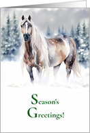 Christmas Xmas Seasons Greetings with Horse in the Snow Pretty card