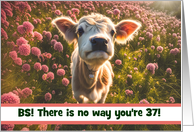 37th Happy Birthday Cute Calf Cow in Flower Field Customizable card