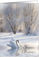 Seasons Greetings Beautiful Swan in the Snow with Pond Trees card