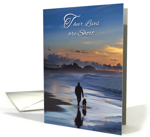 Dog Loss Sympathy Condolences Walking Dog on Beach Sunset card