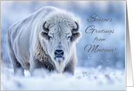 Montana Christmas Seasons Greeting with Beautiful White Buffalo Snow card