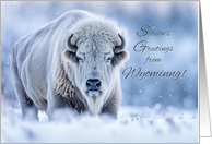 Wyoming Seasons Greetings Happy Holidays White Buffalo Bison in Snow card