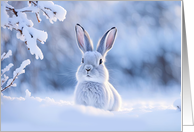 Seasons Greeting Cute White Snow Bunny Rabbit in the Snow card