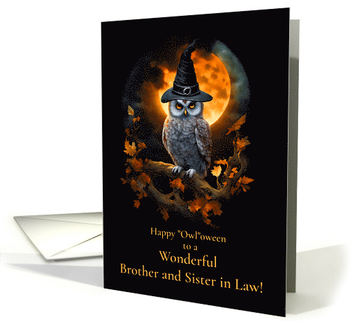 Brother and Sister in Law Wife Cute Owl Halloween with... (1867520)