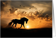 Horse and Sunset Beautiful Silhouetted with Clouds Blank Any Occasion card