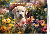 Cute Yellow Labrador Retriever Flower Garden Thinking of You Custom card