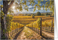 Wine Vineyard in the Fall Autumn with Pretty Foliage and Sun Blank card