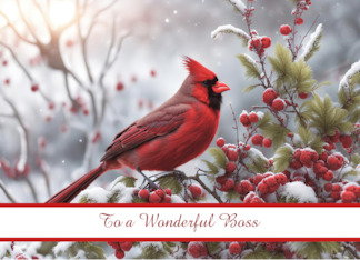 Boss Happy Holidays with Pretty Cardinal Bird in Berries Customize