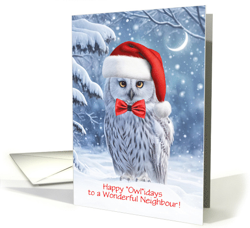 Neighbor or Neighbour Happy Holidays with Owl in the Snow... (1873968)