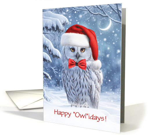 Happy Holidays Christmas with Cute Owl in the Snow Custom Text card