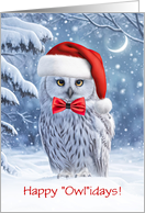 Happy Holidays Christmas with Cute Owl in the Snow Custom Text card