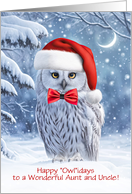 Aunt and Uncle Cute Owl in the Snow Holiday Humorous and Fun Custom card