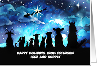Christmas Holiday Card Animal Services Vet Groomer Pet Sitter Custom card