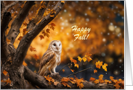 Happy Fall Autumn Owl in Fall Foliage Tree Custom Cover Text card