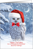 Brother and Family Happy Holidays Cute Owl with Red Tie Custom card