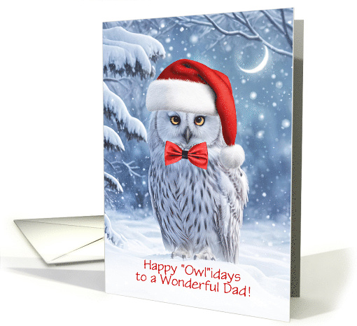 Dad Father Happy Holidays Christmas with Cute Owl Fun... (1874988)