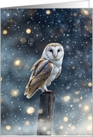 Winter Solstice Yule with Beautiful Owl with Snow and Lights card