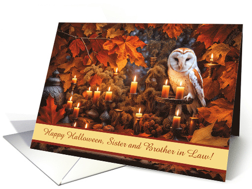 Sister and Brother in Law Husband Happy Halloween Cute Owl Custom card