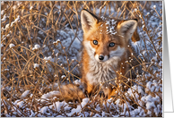 Christmas Holiday Seasons Greetings Fox Pup in the Snow Cute card
