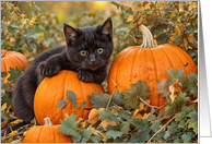 Black Cat Kitten and Pumpkins Cute and Simple Happy Halloween card