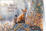 Cute Red Fox on a Rock with Fall Foliage Thinking of You Custom card
