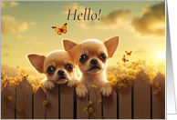 Hello Hi Cute Little Chihuahua Puppy Dogs Looking over the Fence card