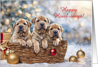 Christmas Cute Shar Pei Type Puppies in A Basket Custom Cover Text card