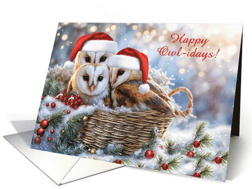 Christmas Cute Owls Happy Holidays in a Basket Custom Text card