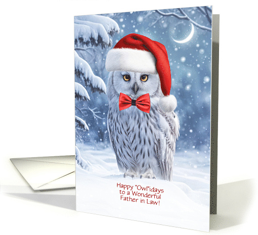 Father in Law Happy Holidays Cute Owl in the Snow Custom card