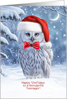 Teenager Happy Holidays with Cute Owl in the Snow Custom Cover Text card