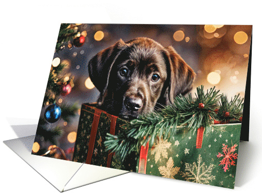 Christmas Holidays Cute Chocolate Labrador Puppy in Gift Box card