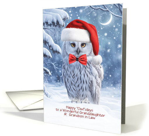 Granddaughter and Husband Grandson in Law Cute Holiday Owl Custom card