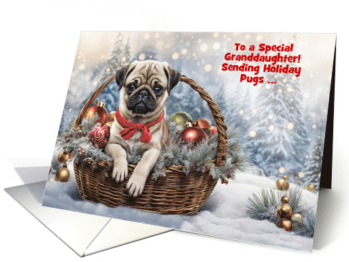 Granddaughter Happy Holidays Christmas Cute Pug Puppy Dog Custom card