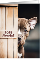 New Years Cute Funny 2025 Pitbull Puppy Looking Past Door Custom card