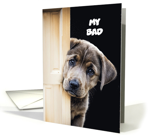 My Bad I am Sorry Cute Labrador Type Puppy Looking Around... (1888508)