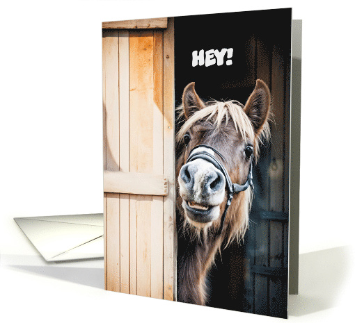 Thinking of You cute Pony with Halter Looking Around Barn... (1888532)