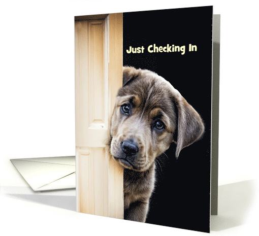 Thinking of You Cute Chocolate Labrador Type Puppy Dog Custom card