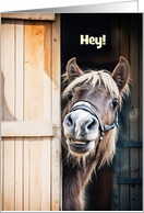 Hi Hey Hello Cute Pony or Little Horse Looking Past Door Custom card