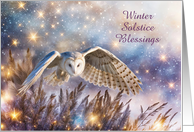 Winter Solstice Magical White Owl Flying Yule Custom Cover Test card