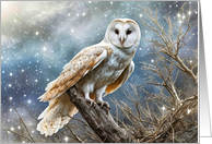 Winter Solstice Owl on Tree with a Starry Night Sky Mystical Yule card