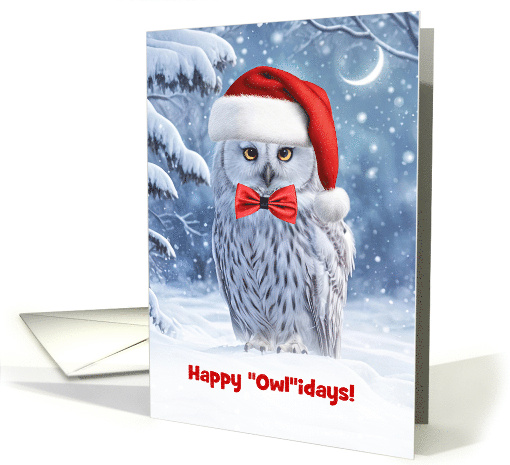 Across the Miles Cute Christmas Owl with Santa Hat and... (1890510)