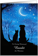 Christmas in Remembrance of Pet Dog or Cat Custom Name card