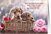 Brother and Sister in Law Wife Cute Happy Valentines Day Dogs Custom card